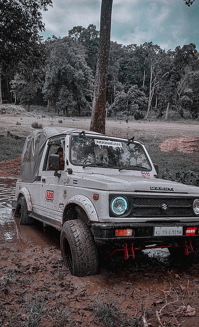 5记三分的 5记三分的