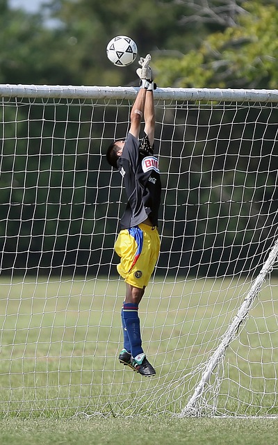 还要应对欧 还要应对欧