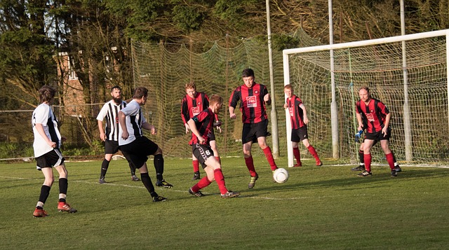 家隊的關鍵 家隊的關鍵