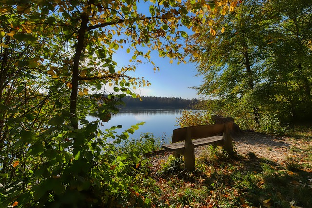 这一转会操 这一转会操